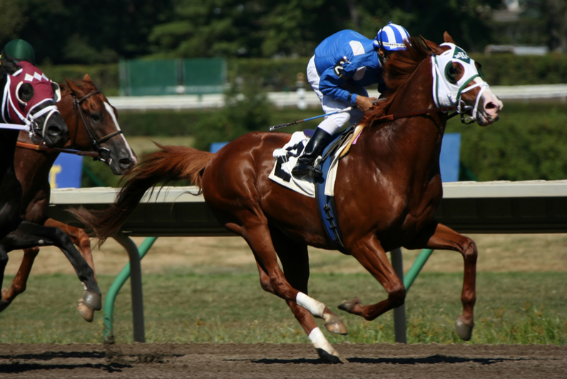 Two horses battling down the stretch