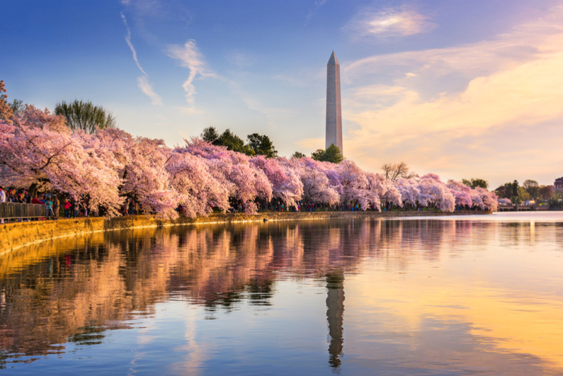 Washington Monument in Washington, DC