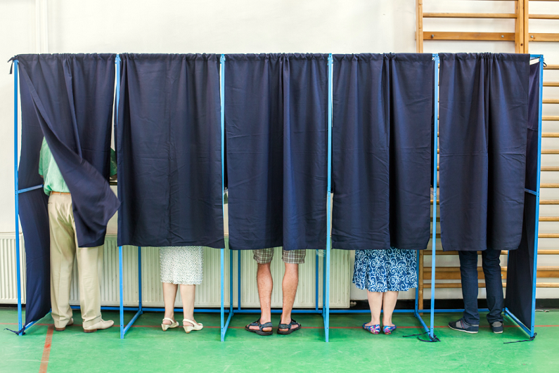 people voting in some polling booths