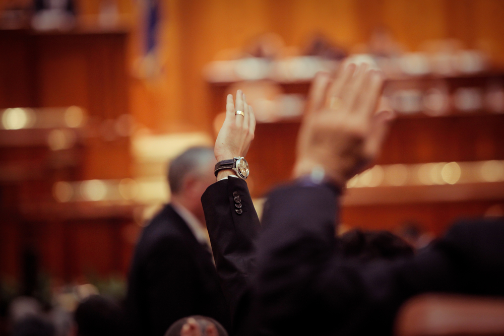 hands raised indicating hand vote