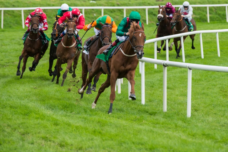 Horse race on grass track