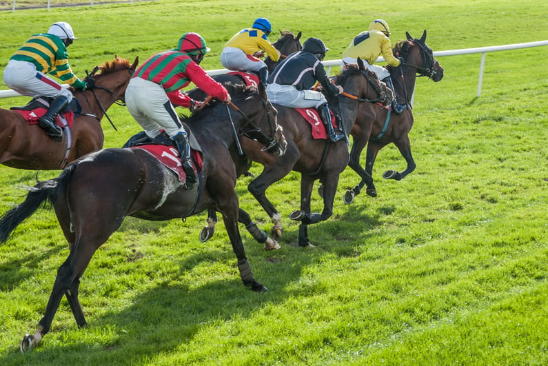 horse race on a grass track