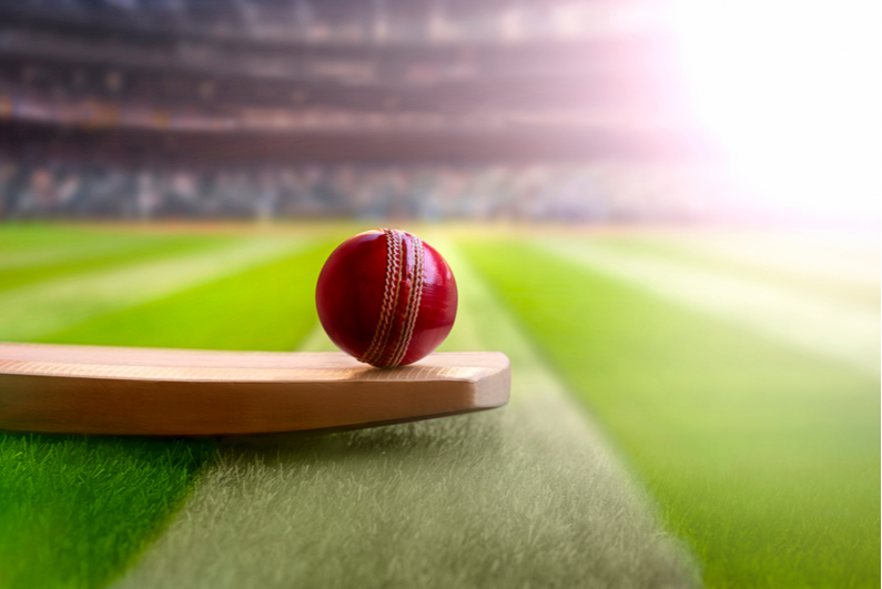 cricket ball and bat